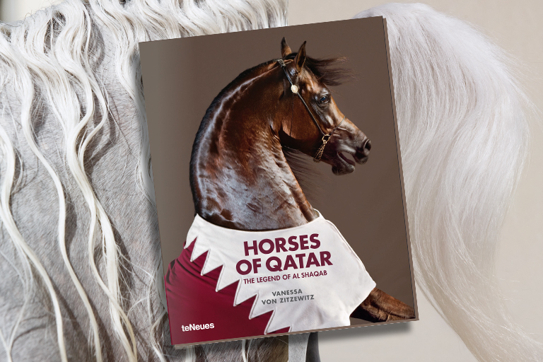 Horse_Qatar