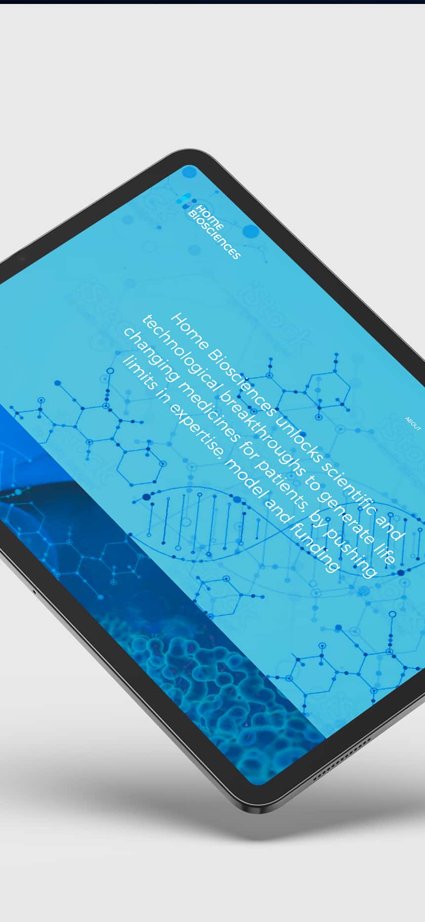 HOME BIOSCIENCES - Création du logotype, élaboration de la charte graphique et du site internet